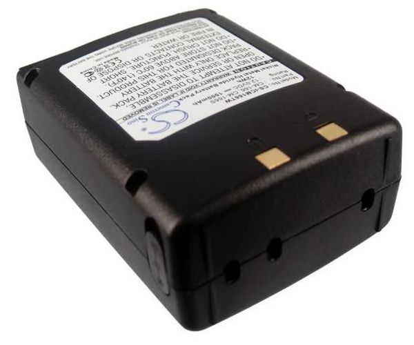 CS-ICM166TW