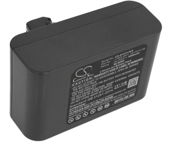 CS-DYC313VX